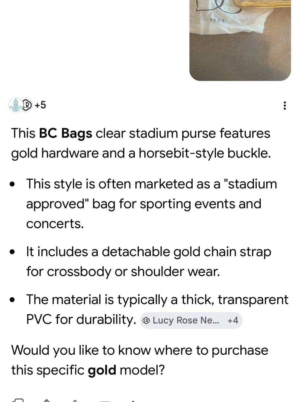Gold Clear Crossbody Bag with Chain Strap - Picture 7 of 10